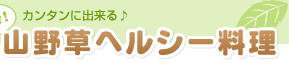 �R�쑐�w���V�[����